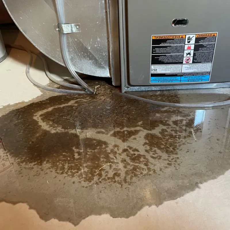 Pipe Burst and Leak Restoration in Daviess County, KY