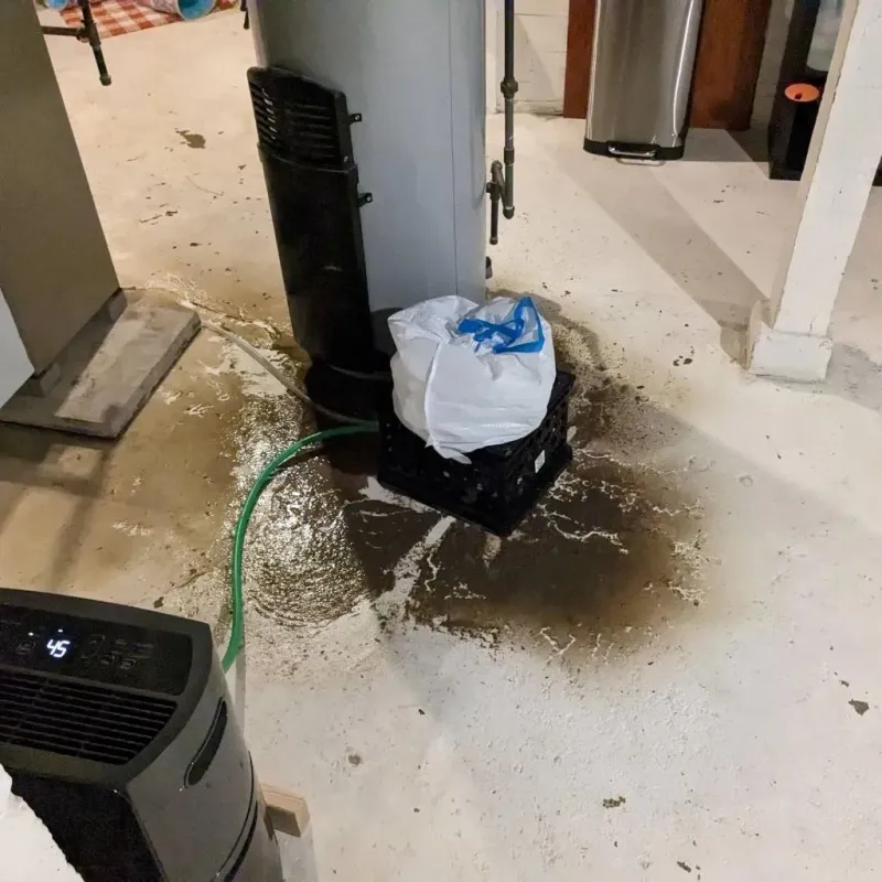 Sewage Backup Cleanup Service in Daviess County, KY